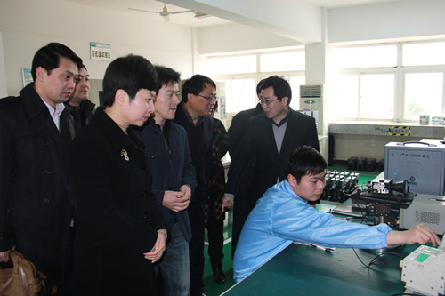 常务副市长江娅莅临公司调研